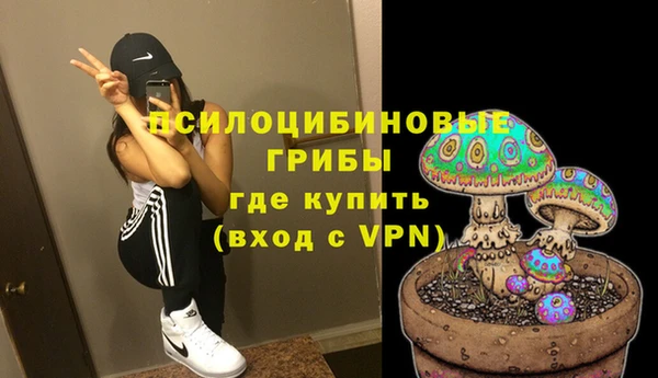 СК Абаза