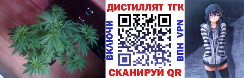 Дистиллят ТГК Wax  гидра зеркало  Адыгейск  как найти закладки 