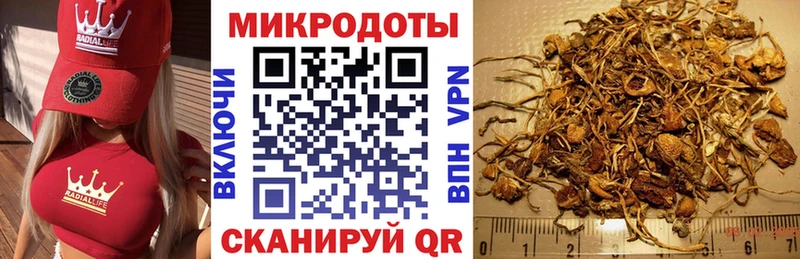 Галлюциногенные грибы Magic Shrooms  Адыгейск 